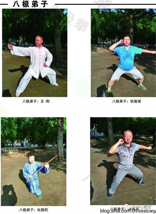 八极拳教学视频,领略传统武术精髓，掌握实战技巧