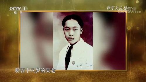 吴孟超视频,深海探索的领航者，揭秘海洋奥秘的传奇人生