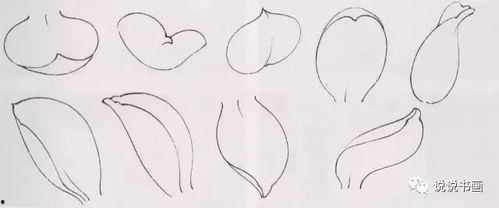 勾花视频教程,轻松掌握编织技巧，打造个性家居装饰