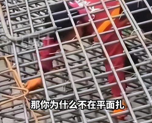 扎钢筋视频,视频解析全过程