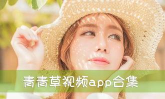 在线视频 青青草,探寻自然之美与生命力的视频之旅