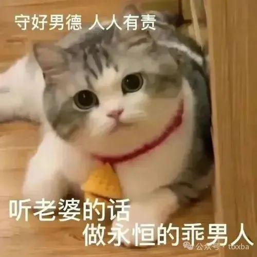 天气热搞笑视频,搞笑视频带你清凉一夏