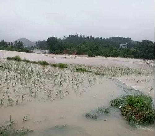涨洪水视频,揭秘洪水肆虐下的生死较量