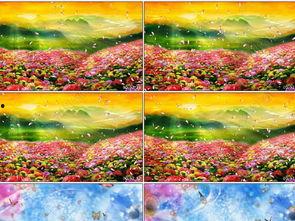 阳光路上视频,追寻梦想的温暖旅程