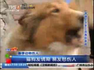 动物伤人视频,揭秘动物伤人事件的背后真相