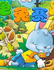 寓言视频,智慧与启示的视觉之旅