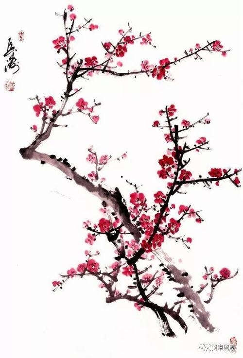 梅花怎么画视频,从零开始，轻松掌握梅花绘制技巧