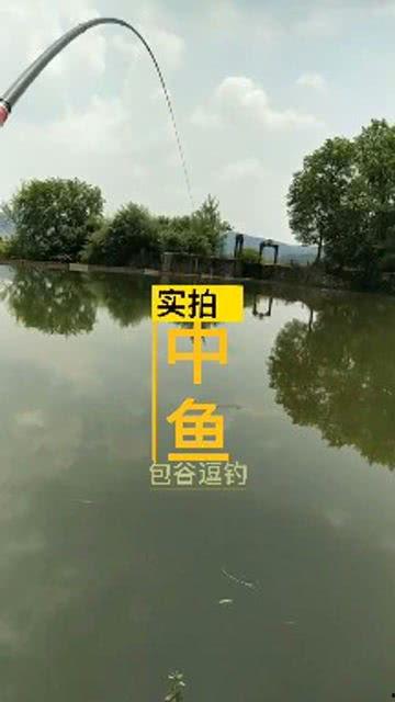 野钓钓鱼视频,跟随视频探索自然水域钓鱼乐趣
