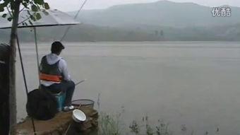 野钓钓鱼视频,跟随视频探索自然水域钓鱼乐趣