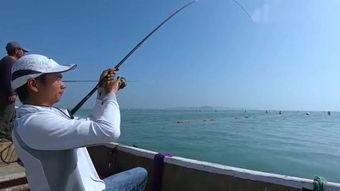 野钓钓鱼视频,跟随视频探索自然水域钓鱼乐趣